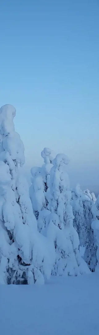 Winterwonderland